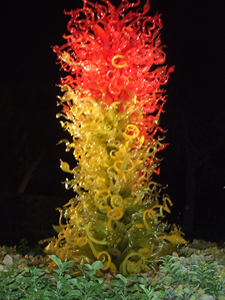 Chihuly 2012 (08).JPG